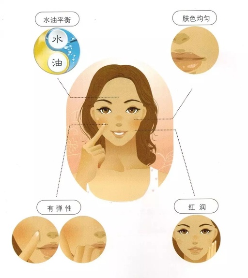 Comprehensive Plan for Nourishing the Skin with a Harmonious Constitution