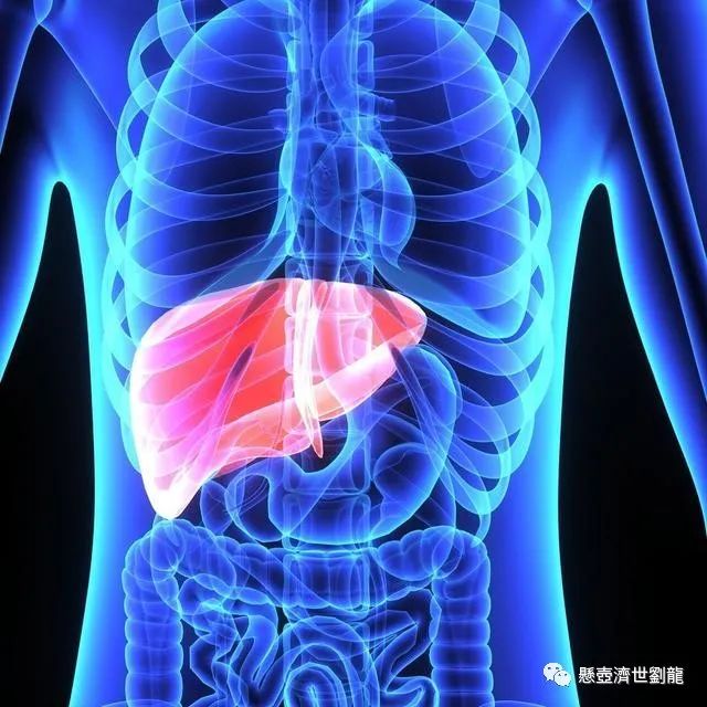 Understanding Qi Deficiency in Traditional Chinese Medicine