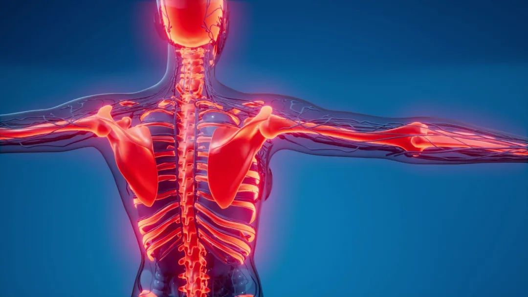 What is Health Preservation? What Exactly Does It Preserve?