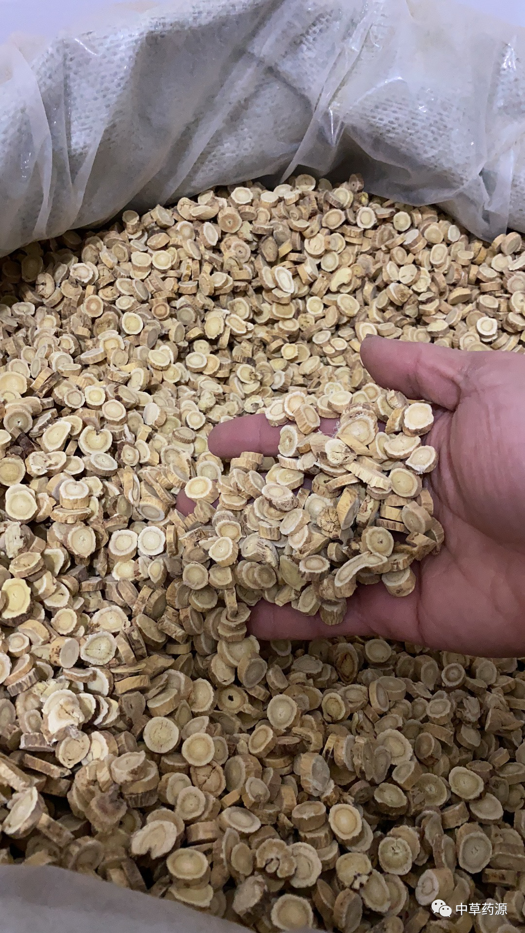 Appreciation of Traditional Chinese Medicine: Huangqi (Astragalus Root)