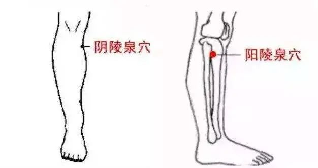 Nurturing Nine Types of Constitutions in Traditional Chinese Medicine