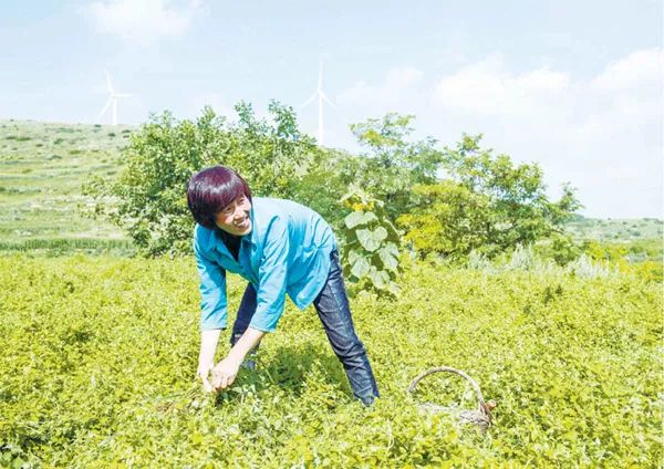 Ping Shun Lu Dang Shen: Expanding the Path to Prosperity