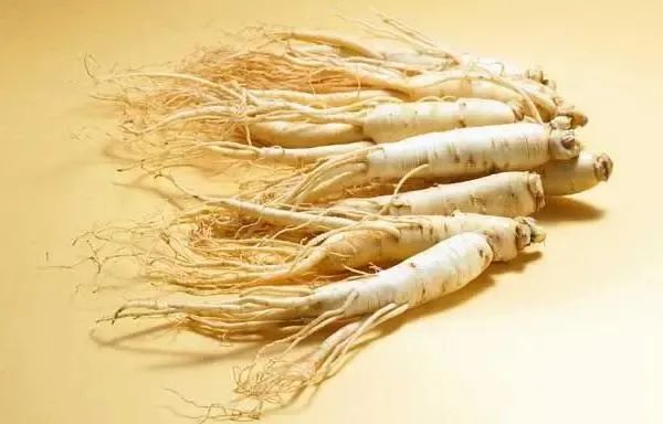 Ginseng: A Comprehensive Overview in Traditional Chinese Medicine