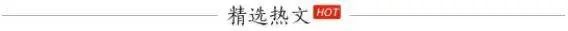 The Efficacy of Cang Zhu (Atractylodes) in Treating Various Conditions