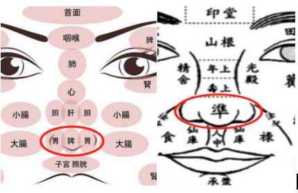 Observational Diagnosis of the Nose in Integrative Chinese and Western Medicine