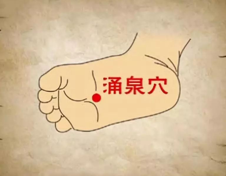Essential Knowledge of Traditional Chinese Medicine You Must Understand