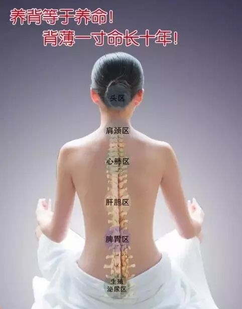 The Remarkable Effects of Moxibustion on the Governing Vessel: A Springtime Practice!
