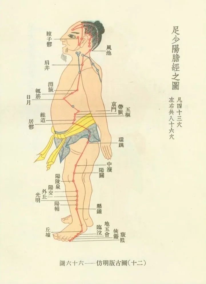 Meridians and Collaterals