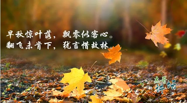 A Formula to Nourish the Five Organs' Essence, Harmonize Yin and Yang, and Achieve Remarkable Effects!