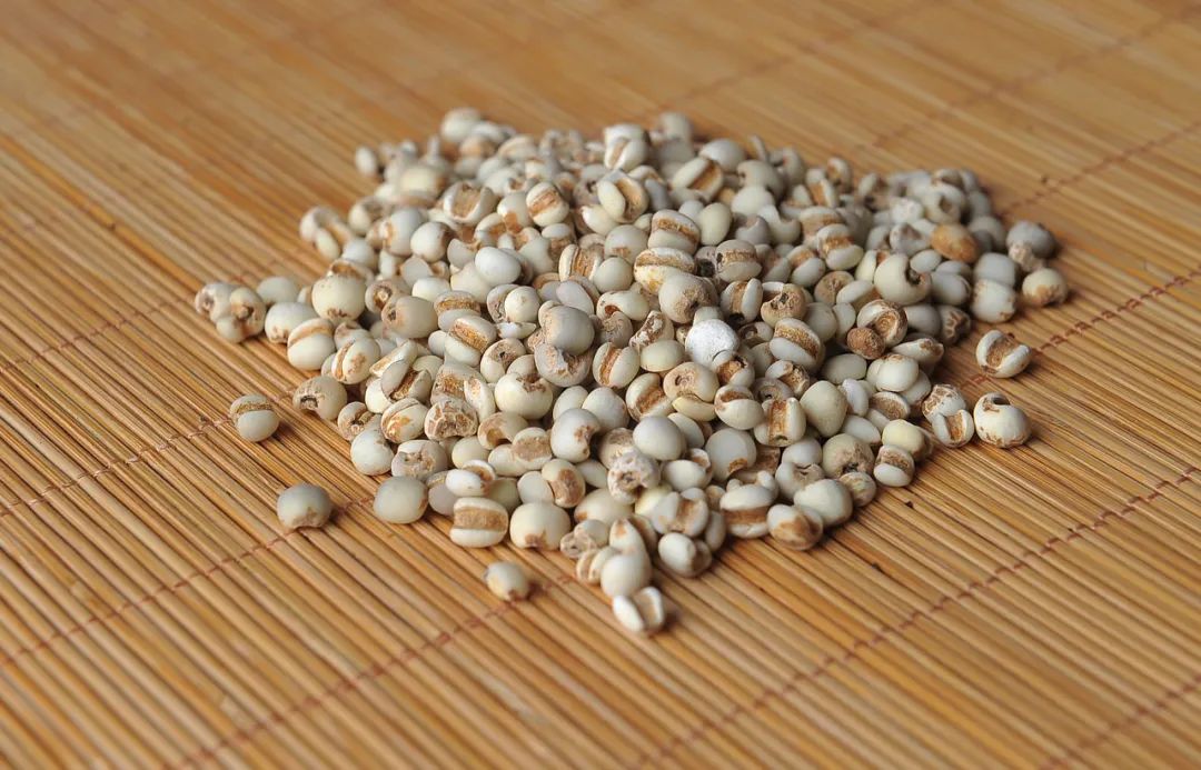 The World's Best Rice: Coix Seed (Yi Yi Ren)