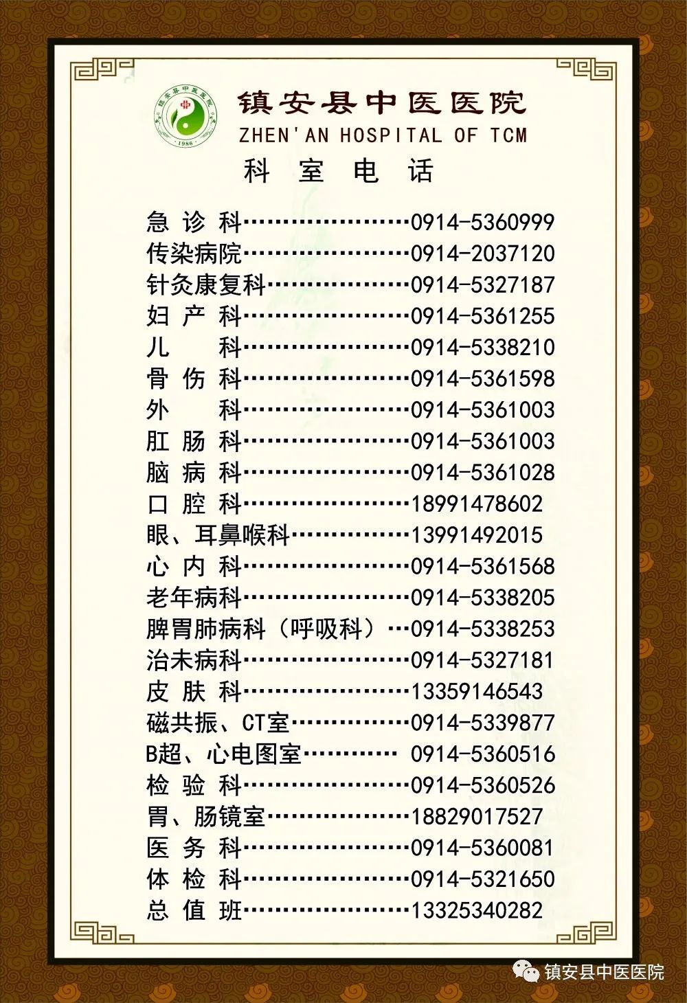 Understanding Shudi Huang (Rehmannia Glutinosa) in Traditional Chinese Medicine