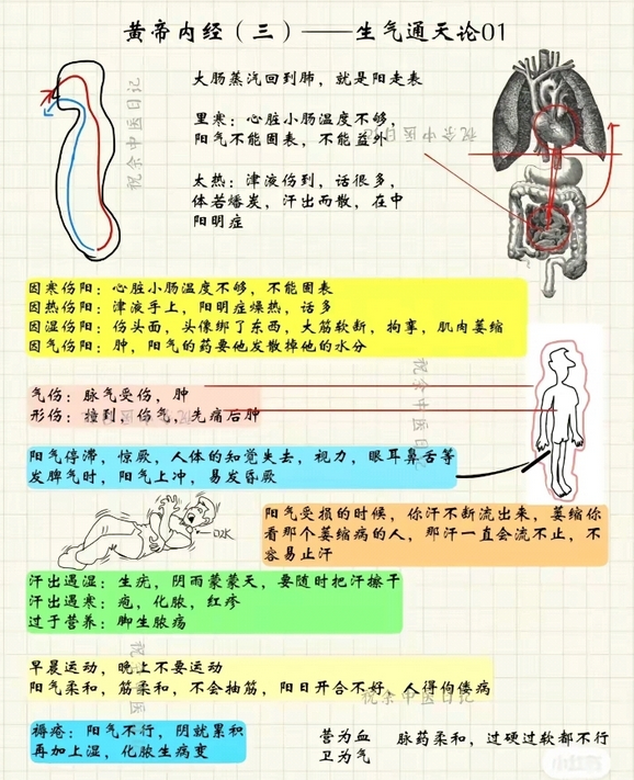 Mind Map of the Huangdi Neijing (Essential Content)