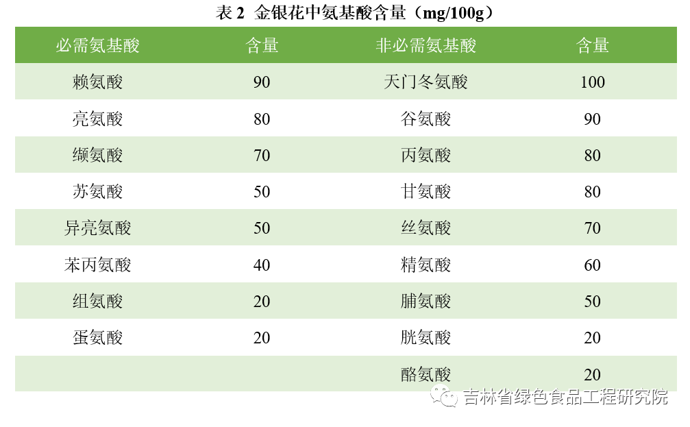 The Efficacy and Functions of Honeysuckle (Jin Yin Hua)