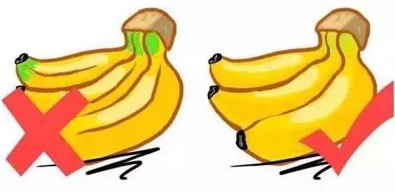Understanding the Cold and Hot Properties of Fruits: A Comprehensive Guide
