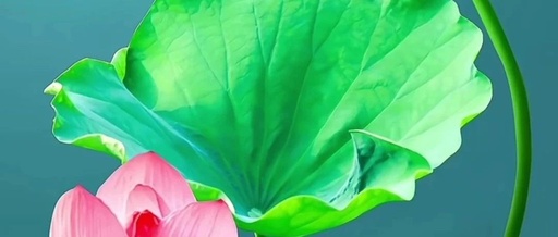 Dry Eyes, Itchy Eyes, and Blurred Vision: Understanding TCM Perspectives