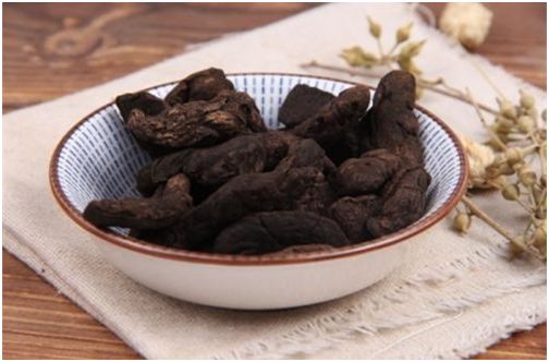 Clinical Applications of Fresh Ginger, Dried Ginger, Processed Ginger, and Ginger Charcoal