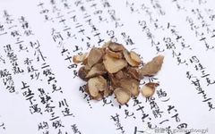 Fuzi: The Divine Weapon to Support Yang Qi and the Primary Medicine for Rescuing Yang from Reversal!