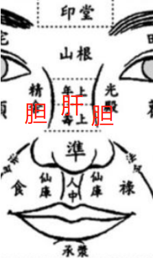 Observational Diagnosis of the Nose in Integrative Chinese and Western Medicine