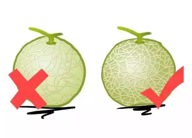 Fruits Classified by Cold and Heat: Eating According to Body Constitution