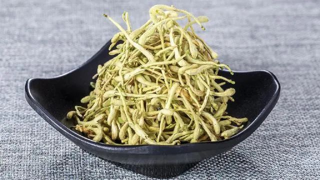 The Four Benefits and Functions of Jin Yin Hua (Honeysuckle)