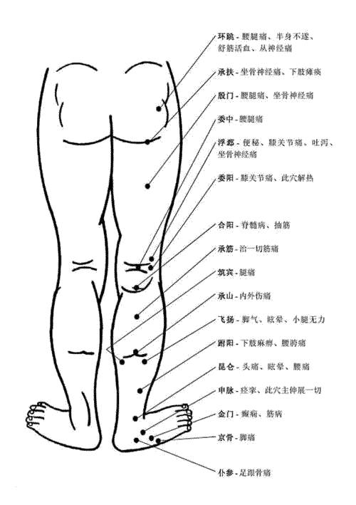 Comprehensive Human Acupuncture Point Chart and Their Functions (A Must-Collect)
