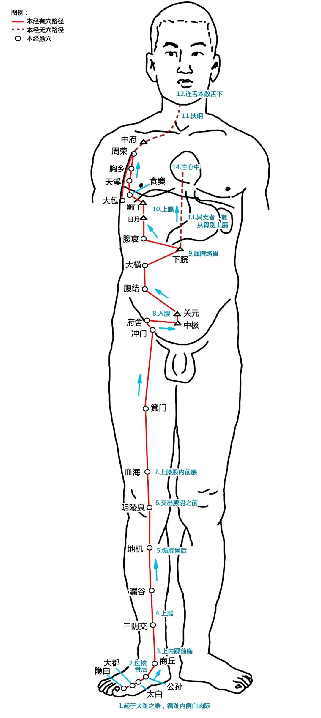 The Pathways of the Twelve Meridians and Acupuncture Points (Answer Version)