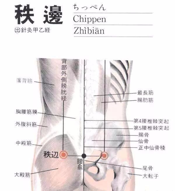 50 Common Acupuncture Points for Treating Various Ailments