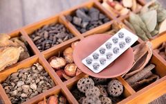 Six Blood-Activating Traditional Chinese Medicines for Promoting Blood Circulation and Dispelling Stasis
