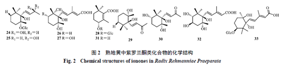 Research Progress on the Pharmacological Basis of Rehmannia Glutinosa