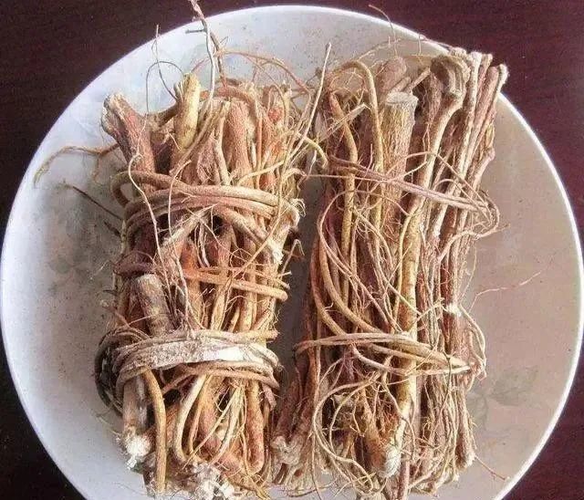 Heavy Dampness, Many Ailments! Recommended 7 Herbs for Dampness Removal (Includes Formulas and Recipes)
