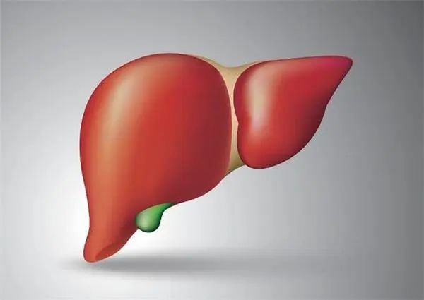 What Causes Liver Fire and Liver Qi Stagnation? Here Are 3 Key Reasons and 4 Habits to Nourish the Liver