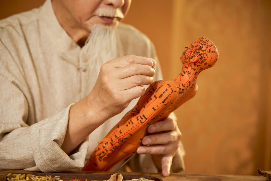 What is Health Preservation in Traditional Chinese Medicine?