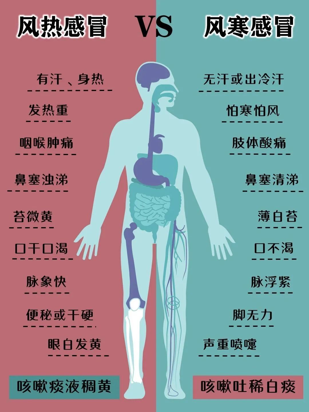 Understanding the Differences Between Wind-Cold and Wind-Heat Colds: Self-Treatment for Colds