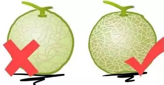 Understanding the Cold and Hot Properties of Fruits: A Comprehensive Guide