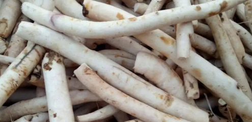 Bai Shao: Nourishing Blood, Regulating Qi, and Harmonizing the Liver and Spleen - The Champion of Liver Nourishment!