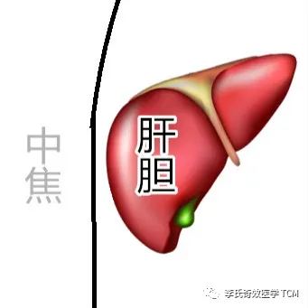 Tongue Diagnosis and the Five Organs Series Collection