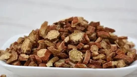 The "Golden Partner" of Danshen: Regular Consumption May Promote Blood Circulation and Dissolve Thrombus