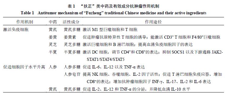 Research Progress on the Mechanism of Antitumor Effects of Traditional Chinese Medicine Based on the Principle of "Supporting the Right and Expelling the Evil"
