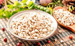 The Dual Role of Food and Medicine: Coix Seed