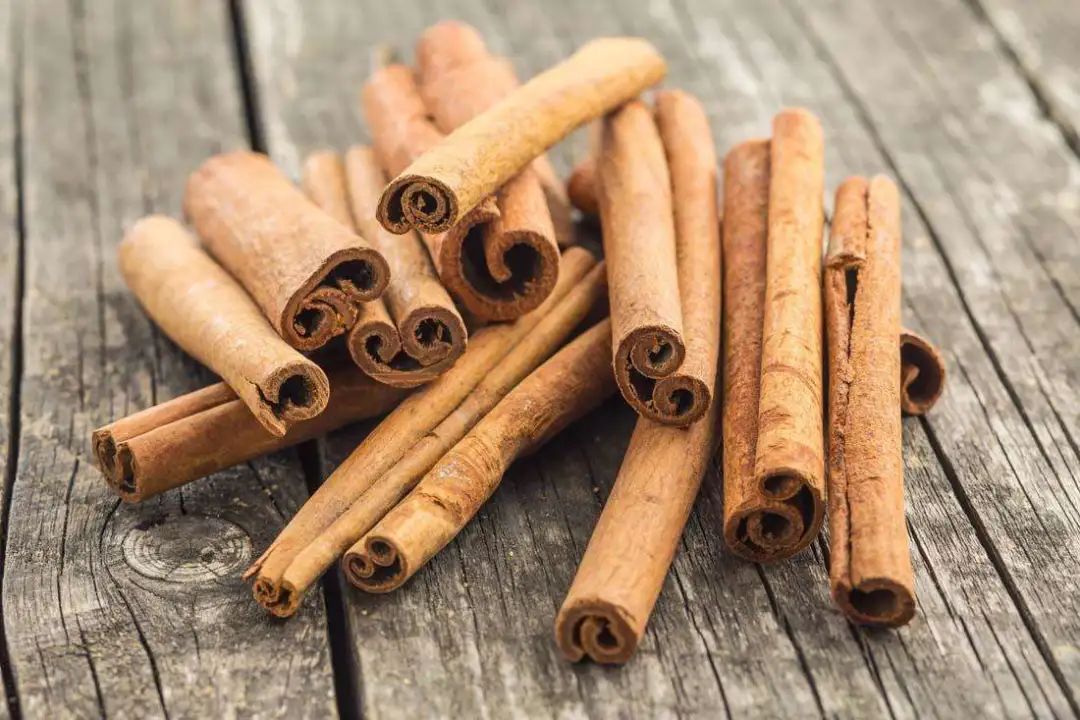 The Classroom of Chinese Herbs - Cinnamon