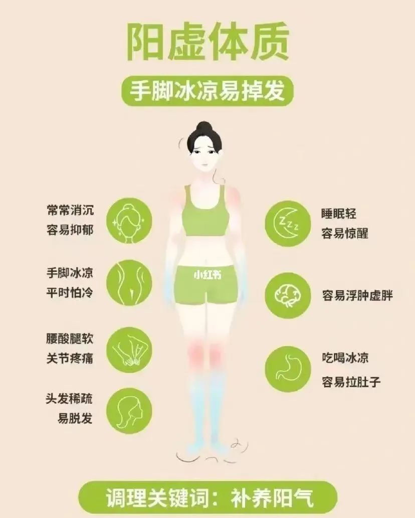 The Nine Major Types of Constitution Identification in Traditional Chinese Medicine