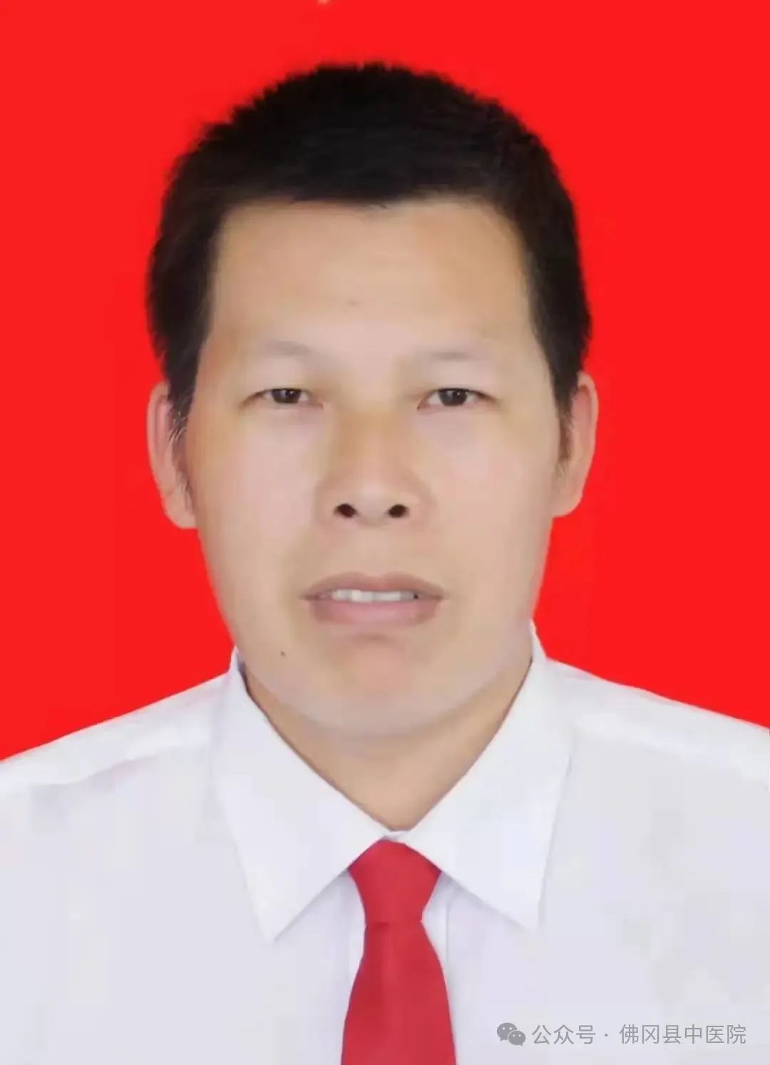 Traditional Chinese Medicine Remedies for Damp-Heat Constitution