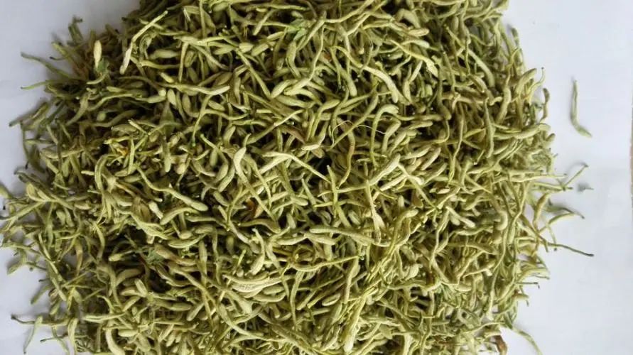 The Efficacy and Functions of Honeysuckle: Best Combinations for Use