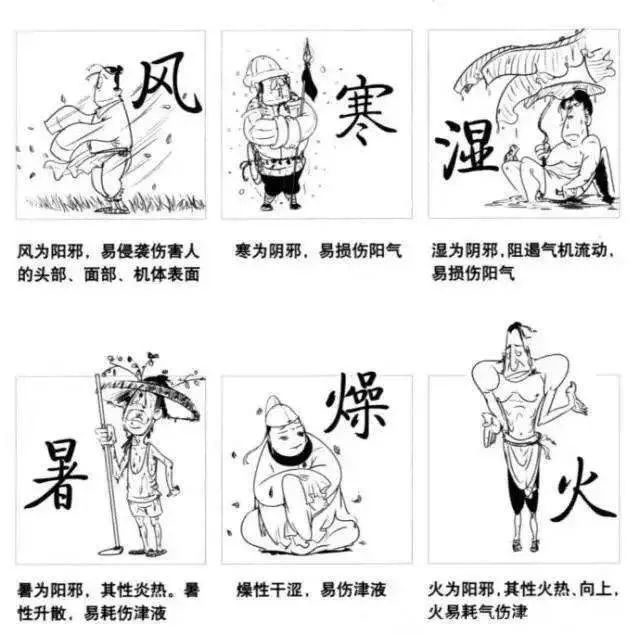 Identifying the Six Evils: Wind, Cold, Heat, Dampness, Dryness, and Fire in TCM