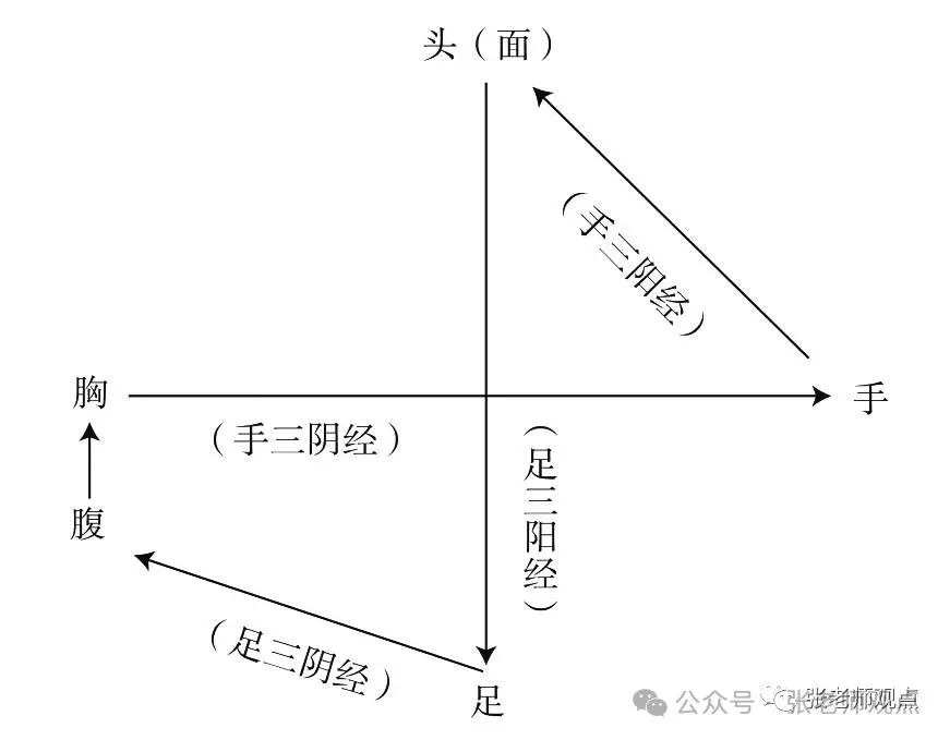 Differentiation of Eight Principles and Six Meridians (Liu Duzhou)