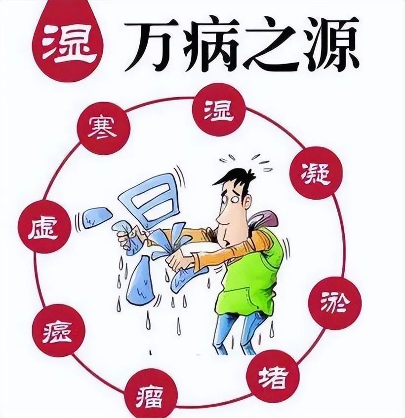 Using Fu Ling (Poria) in Water to Eliminate Dampness and Strengthen the Spleen and Stomach