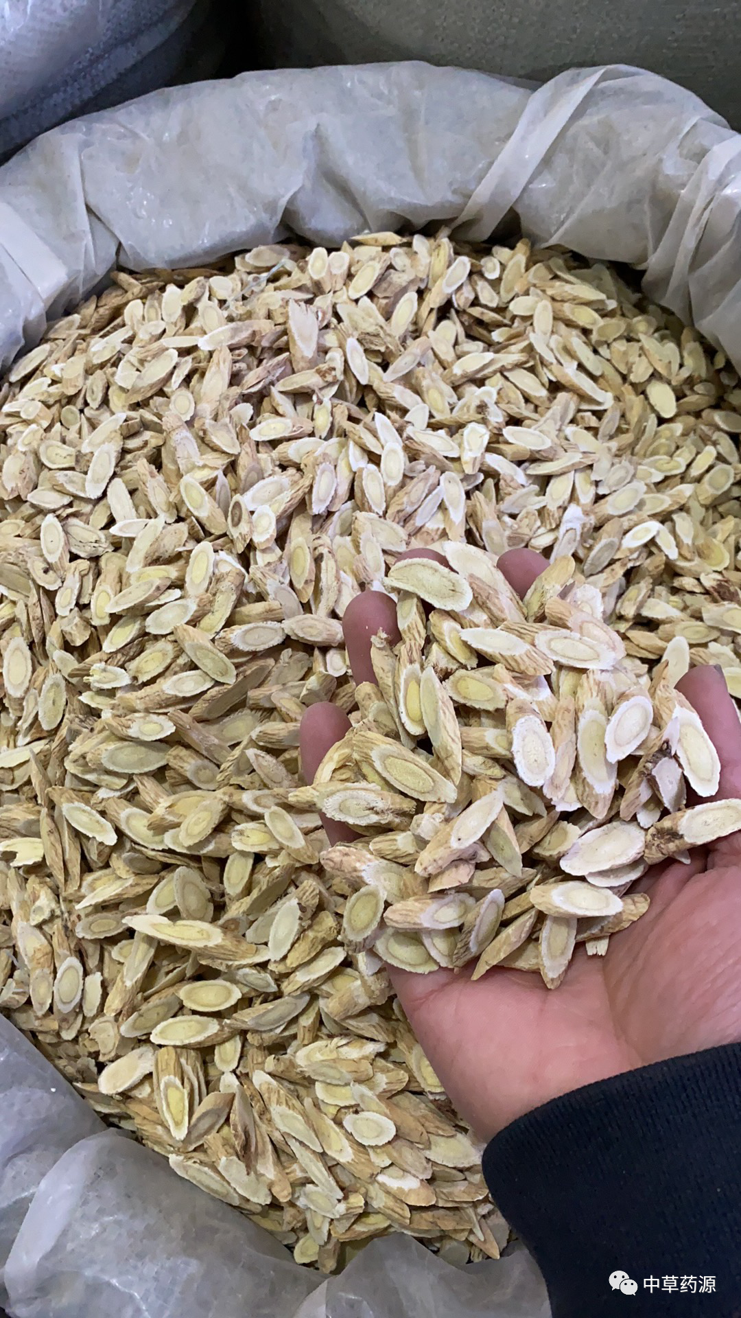 Appreciation of Traditional Chinese Medicine: Huangqi (Astragalus Root)