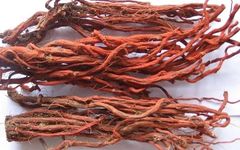 The Efficacy and Uses of Danshen (Salvia miltiorrhiza) and Its Proper Consumption Methods