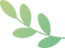 Common Qi-Boosting Herbs in Traditional Chinese Medicine (Part 2)