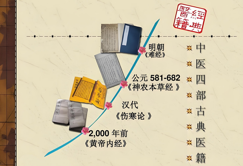 Key Concepts in the Treatise on Cold Damage (Shang Han Lun)